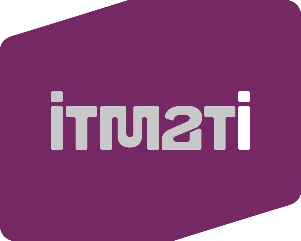 Instituto Tecnológico de Matemática Industrial